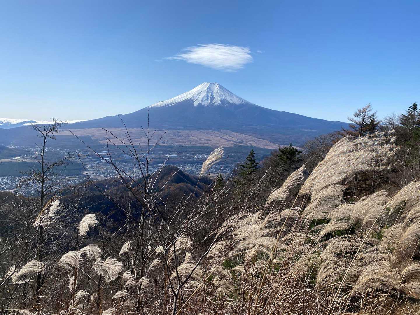 鳥居地峠-高座山-大権首峠-杓子山 周回コースの写真