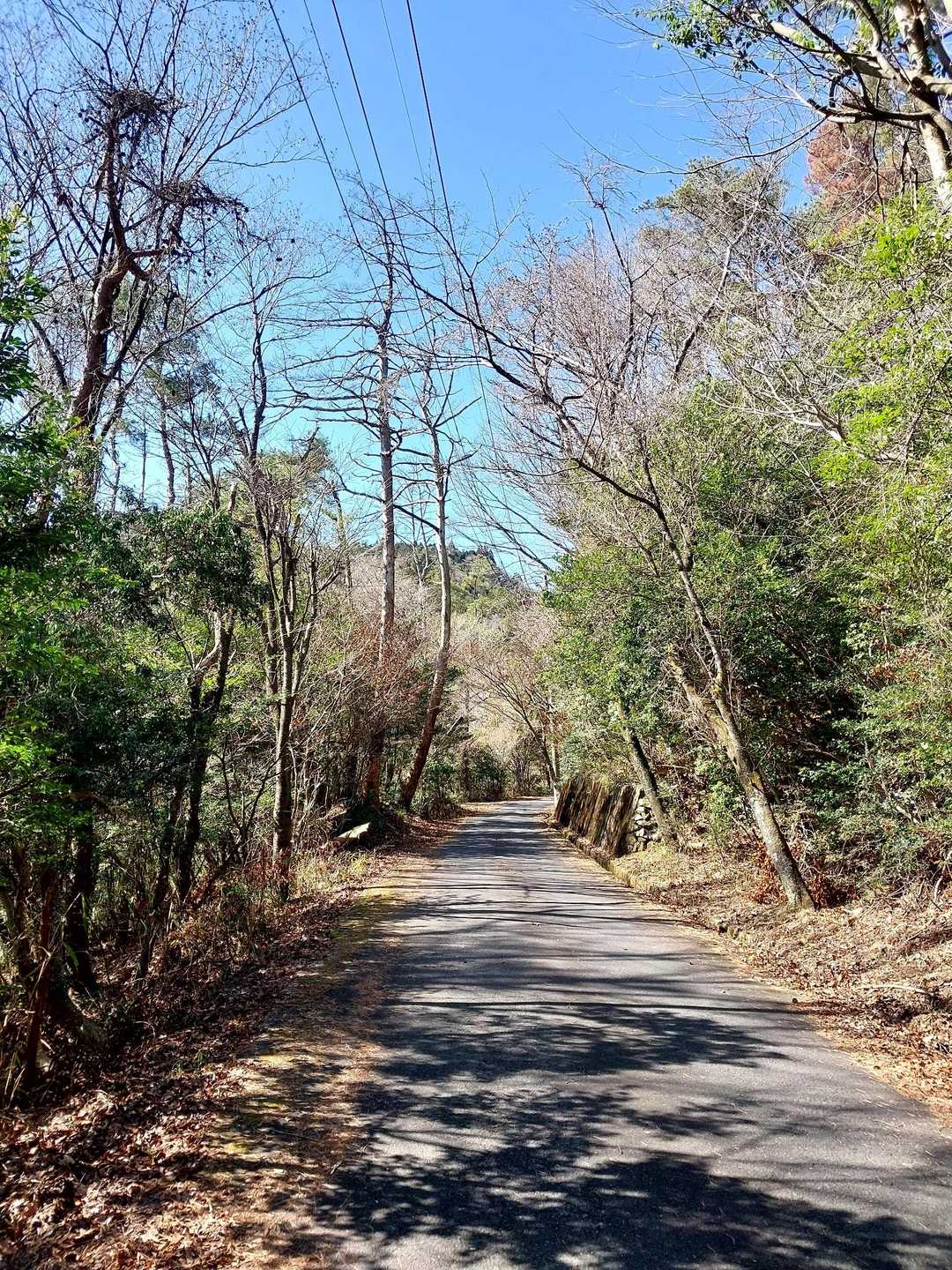 金刀比羅神社そばの路肩に駐車させていただいて山頂まで完全ロード
