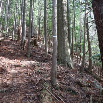 峰山へは距離は短いですが、急登です