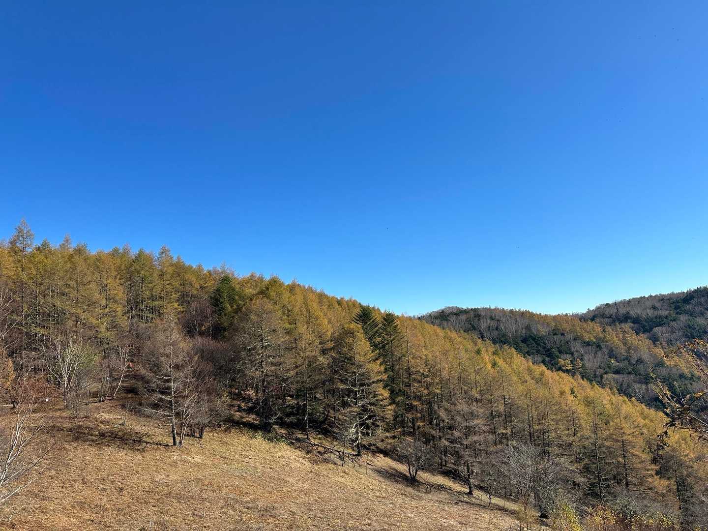 右の方の山  櫛形山へ向かいます