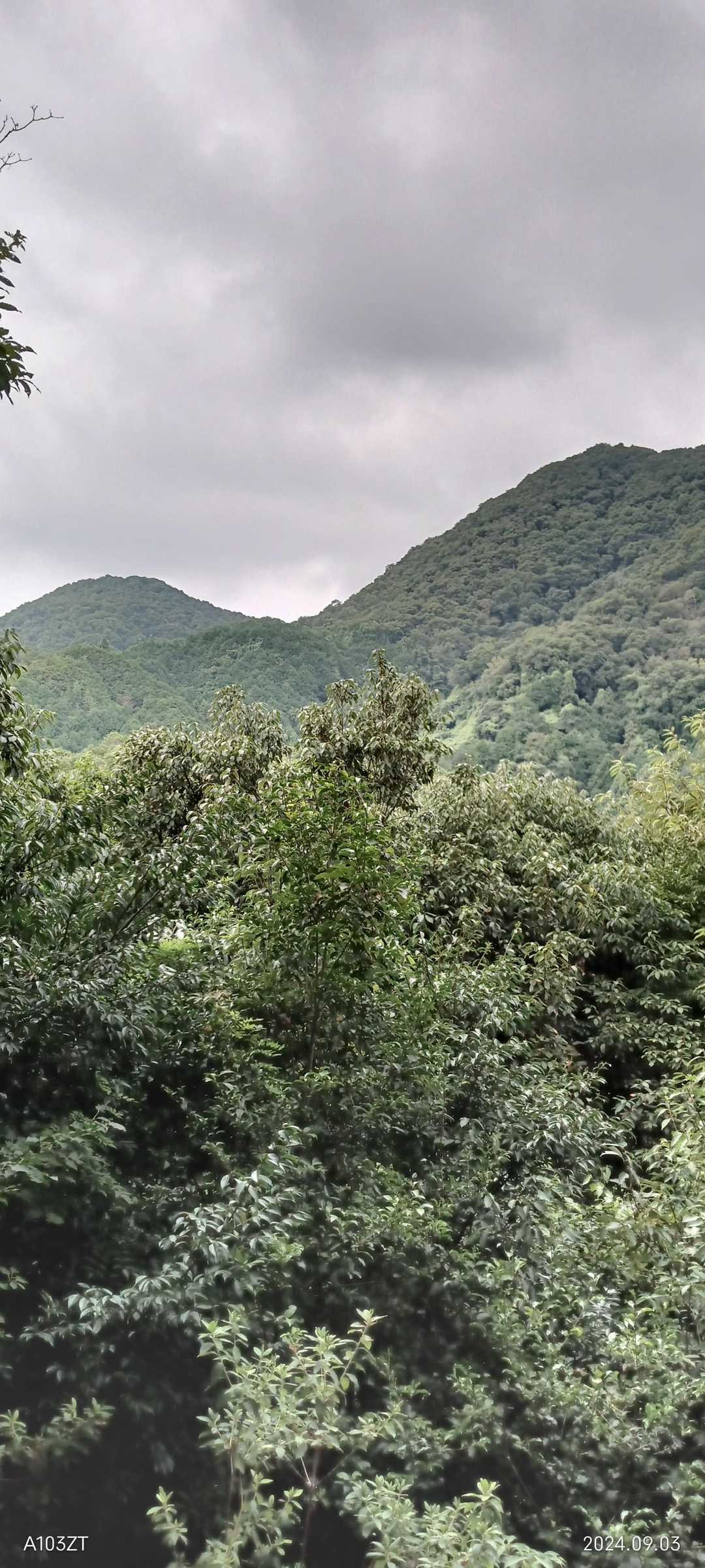 鳶塚-二上山-ながめ坂 周回コースの写真