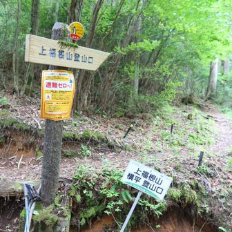 横平登山口へ無事に降りて来て
駐車場迄ラストスパート👍