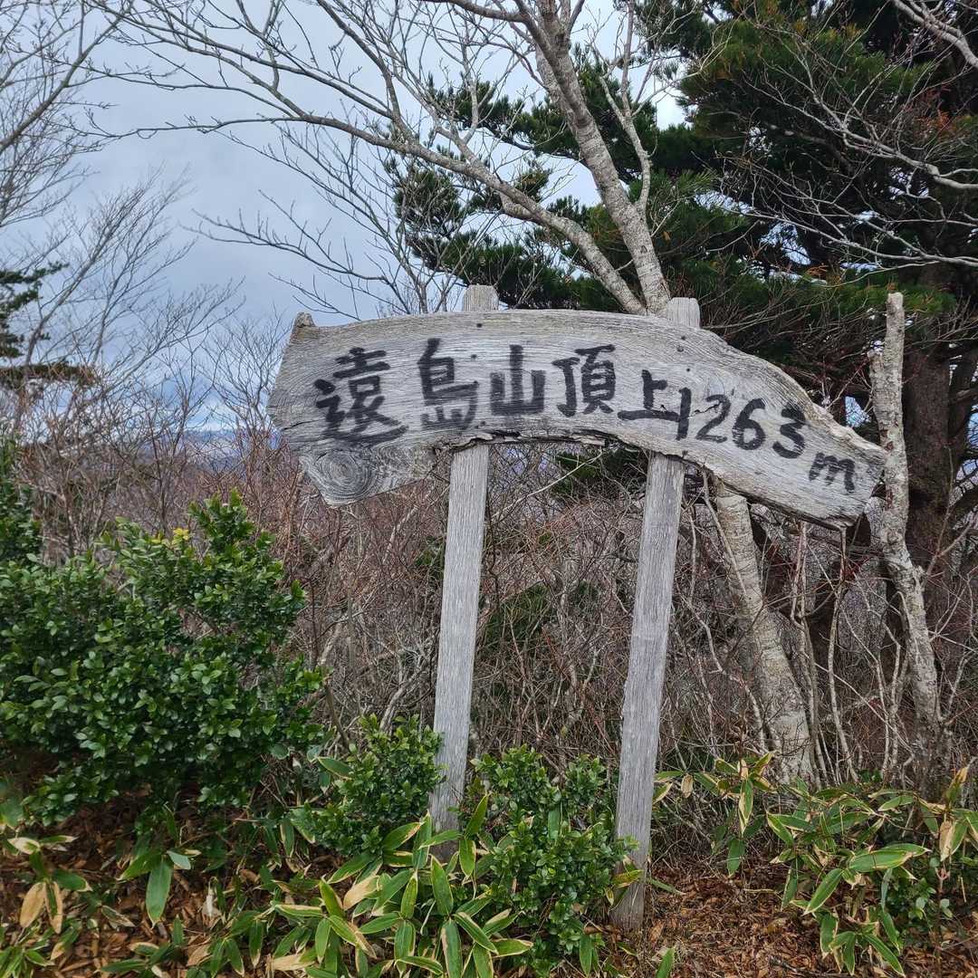 遠島山 往復コースの写真
