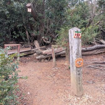 小倉山の山頂。