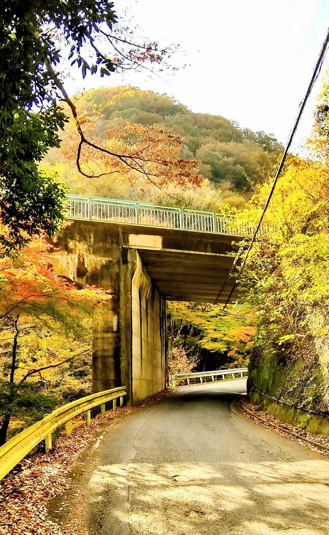 登山口までのアプローチ