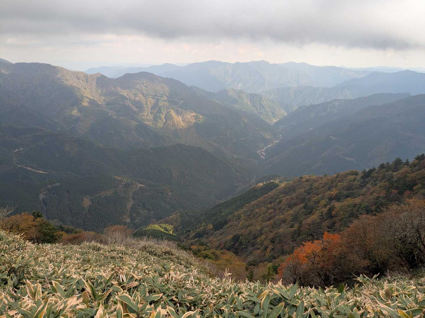 旧寒風山トンネル南口-桑瀬峠-寒風山-笹ヶ峰 往復コースの写真