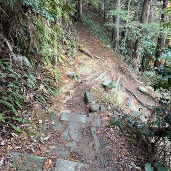 ショートカット路との分岐。