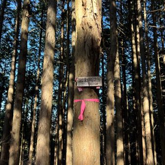 下山は栃谷尾根コースから明王峠を目指して相模湖駅に戻るルート
富士小屋山は登山道から外れているので、後戻りして標識を撮りました