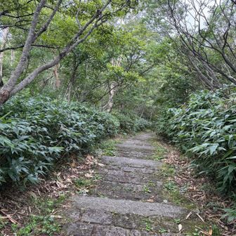 ここから山麓駅まではずっと石畳。