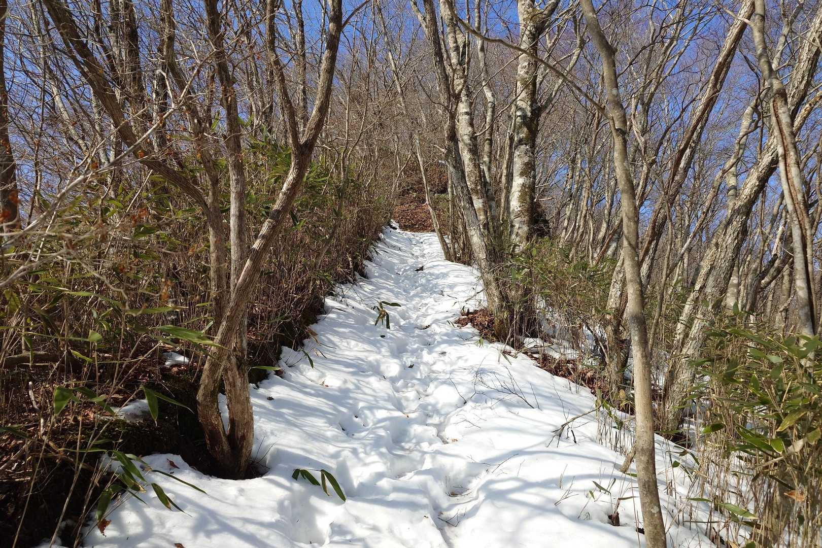 急登に雪が！
しかし、ツボ足で大丈夫でした。