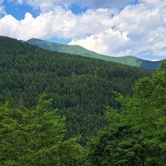 地味に普通の山やったけど、眺望バッチリの経ヶ岳、ありがとう❗
