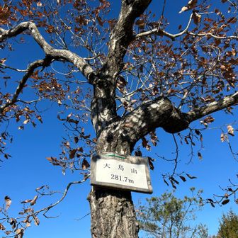 ここが分岐となります、5座目