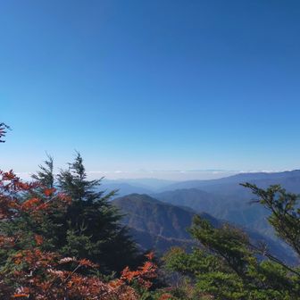 うっすらと富士山も見えました。