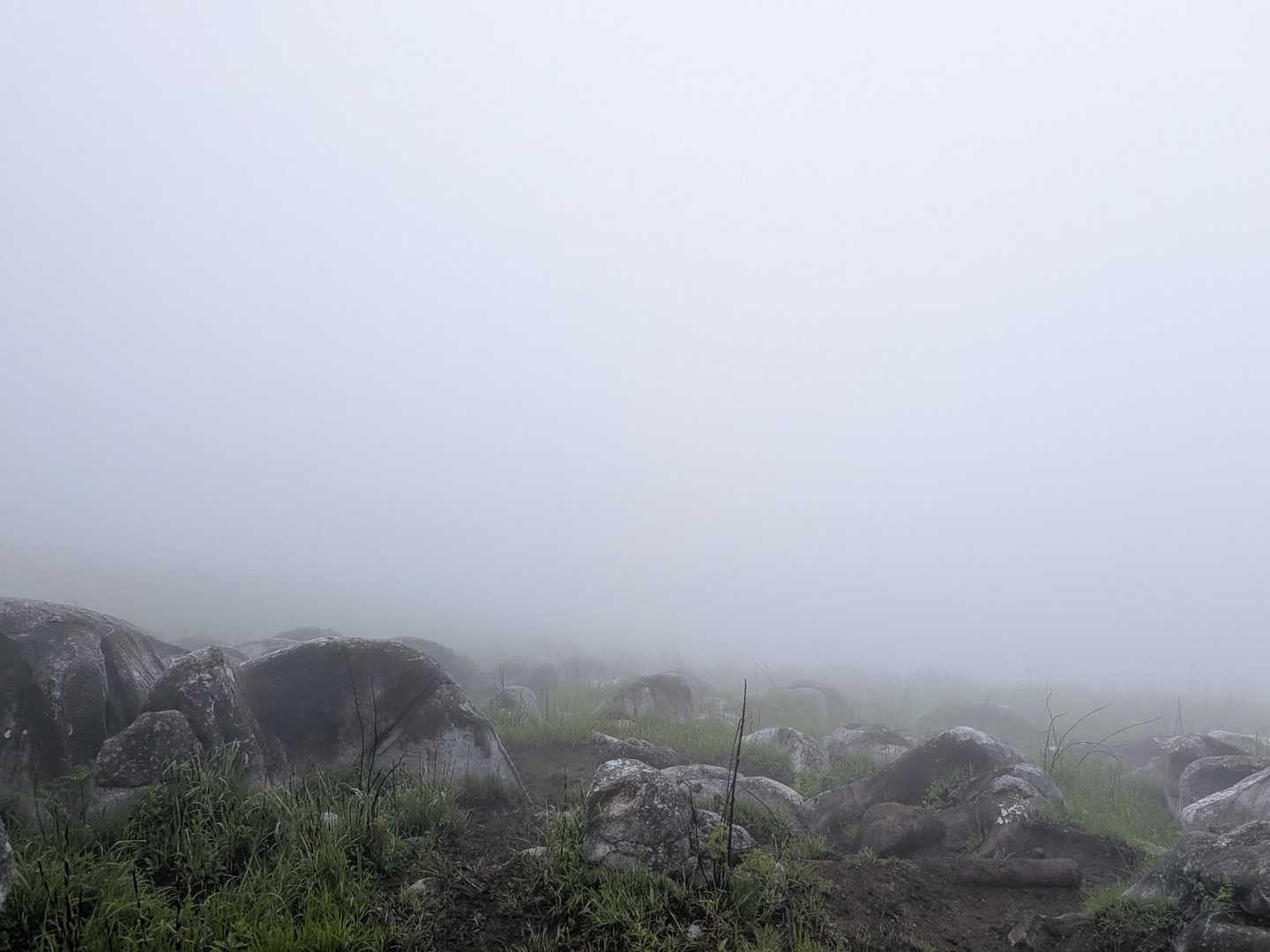 本日は霧も結構掛かってました☁