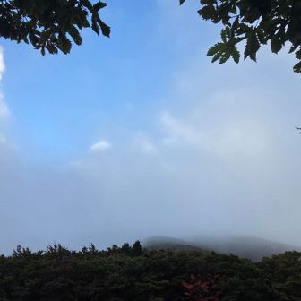 振り返ると青空も見え隠れ…だけど、山頂の雲はなかなか取れなさそう(-.-)