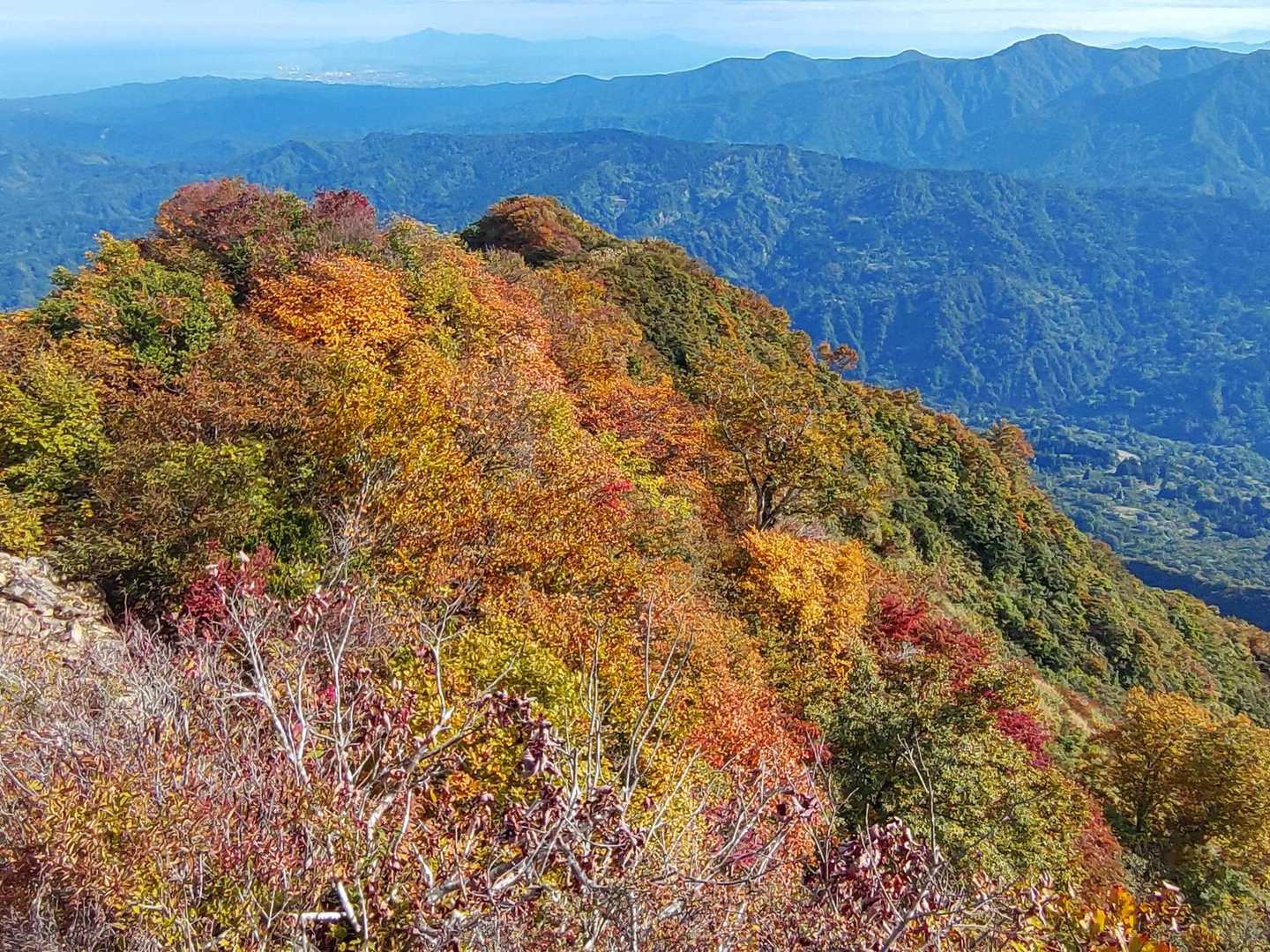 下の紅葉🍁もキレイ