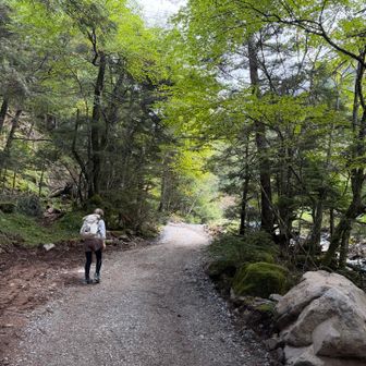 なぜか最初の林道が山行中でいちばんキツかった😮‍💨要はウェイトオーバーなんです‥。