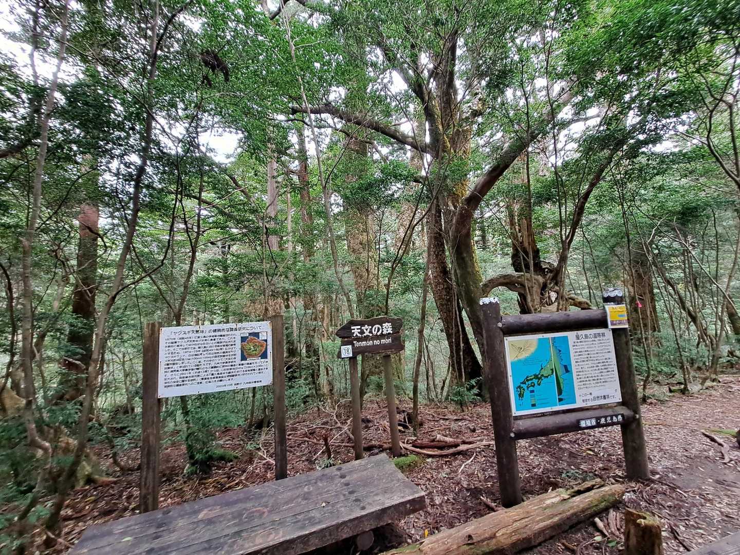 ちょっと休憩