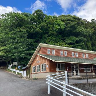 この日は平日、駐車場には３分の１くらい車がありました🚙
空青いー🩵