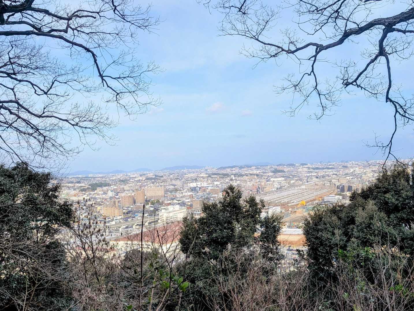 観音山の景色