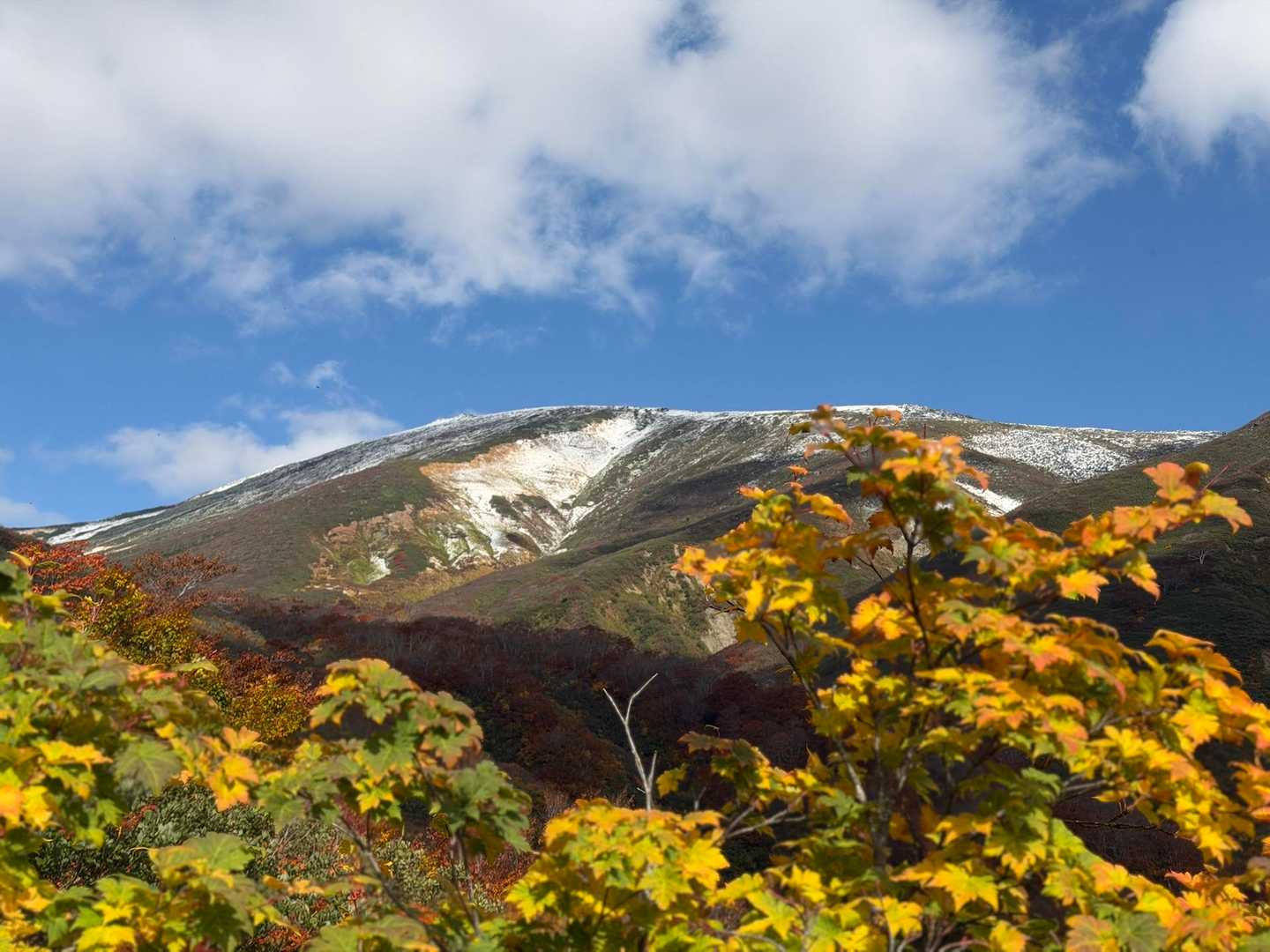 うわぁ·····😆
今山頂いる人最高だろうなー☺️☀️