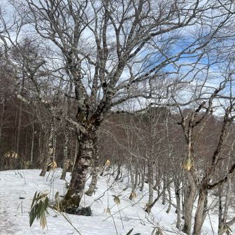青空🩵

猪臥山が迎えてくれてると勝手に思う私💕