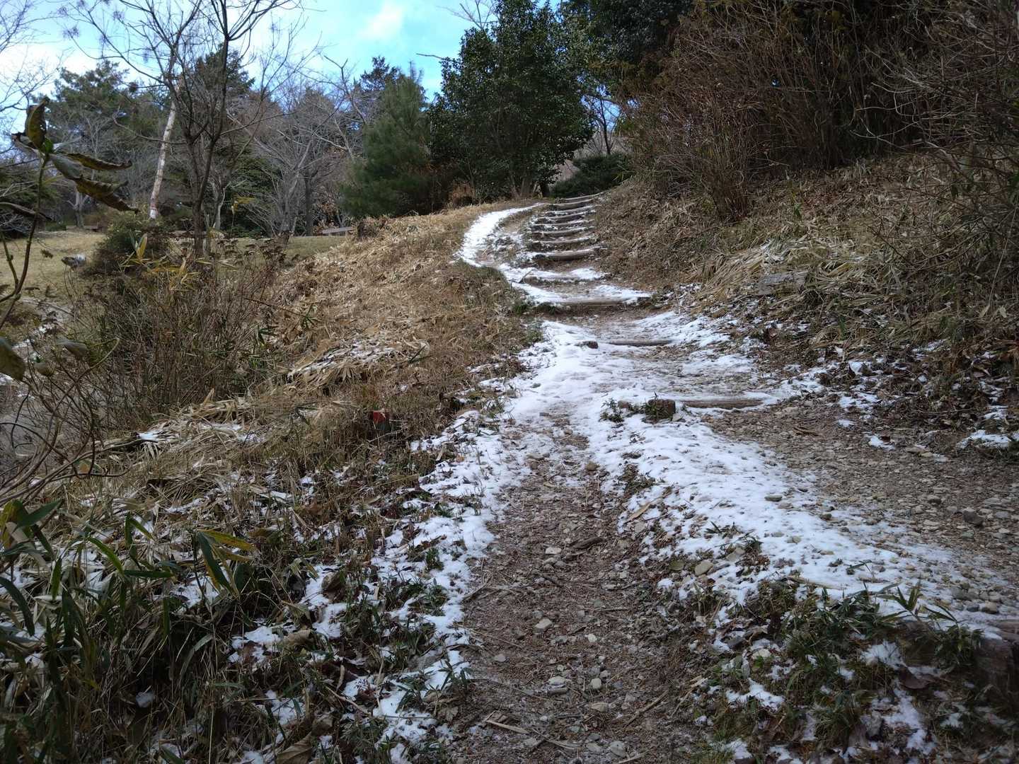 雪が増えてきました