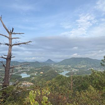 中央は、讃岐富士の飯野山かな