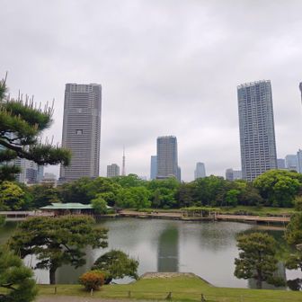 日本庭園とビル群のコントラスト
