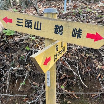 分岐点
外国人ハイカーをよく見かけるようになったので、英語表記も加わっているといいんだけどな