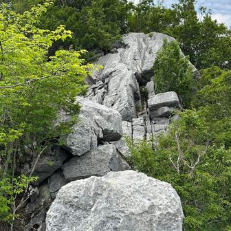 カナンボー嶽のあたりの岩はちょっと脆かったけど、ここのは大丈夫なのかな。同じ石灰岩だよね