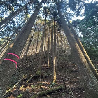 なんとかゆっくりと降りました😖