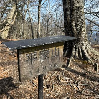 気持ちいい原生林に入ったと思ったら
最初のピーク平家山到着