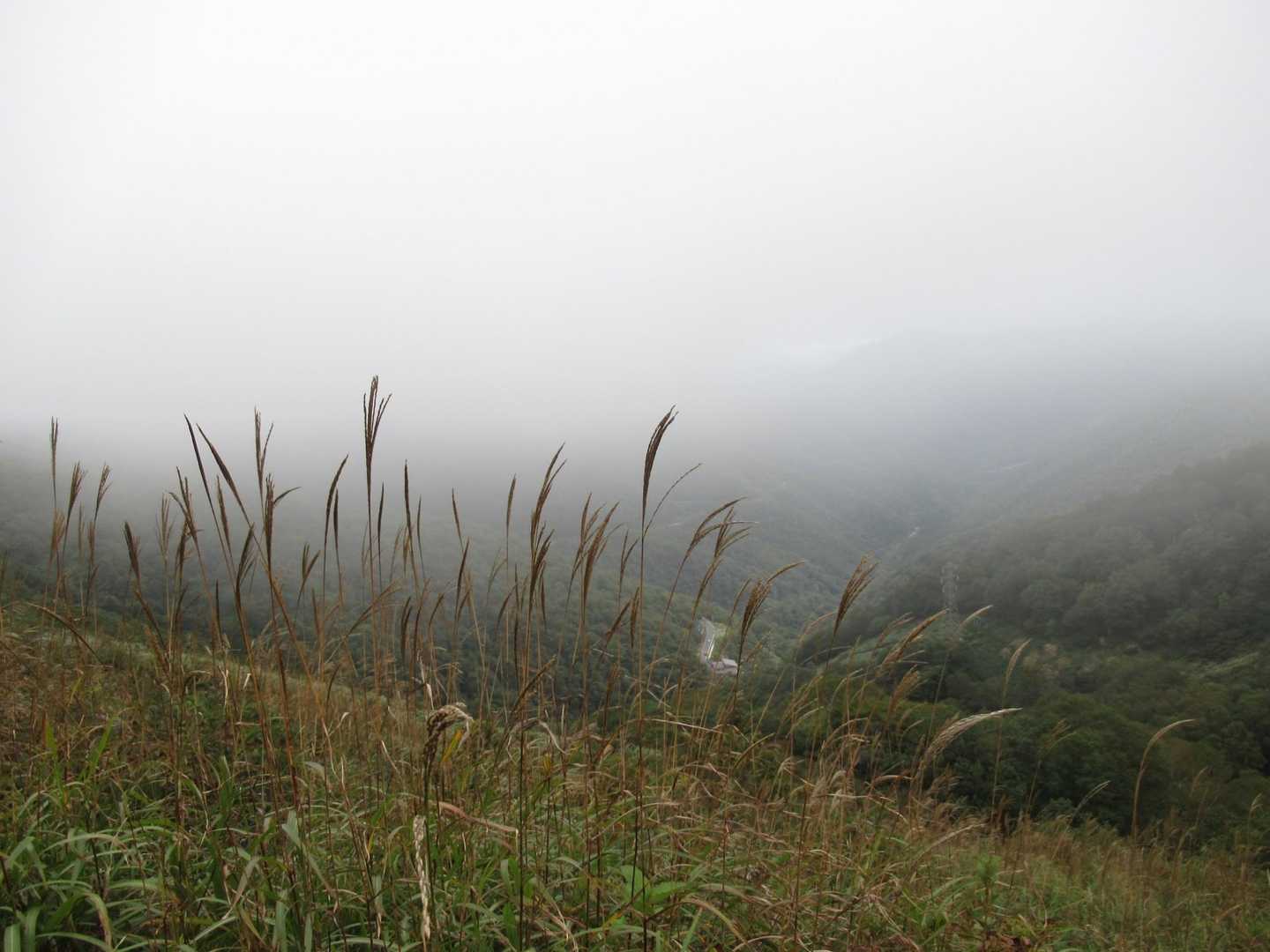 いつもの場所で、いつもの🌾