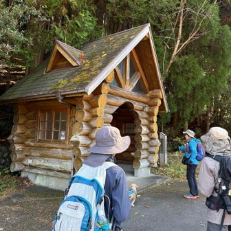 トイレあります🚾
