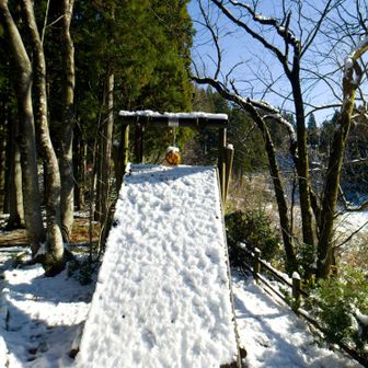 これはもう子供が遊ぶどころでは…😅