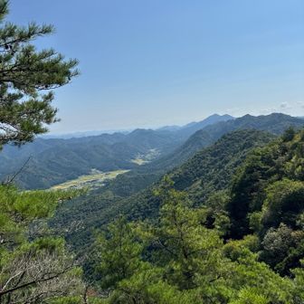 春日の奥の方