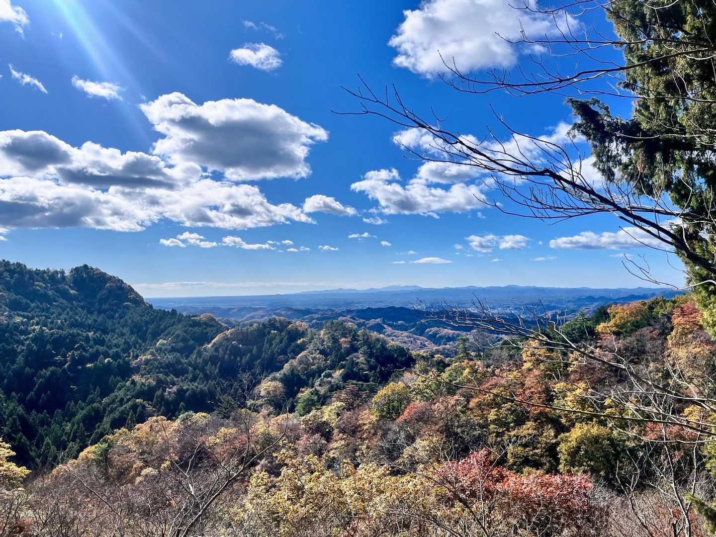 景色いいから、登りも苦じゃないー。