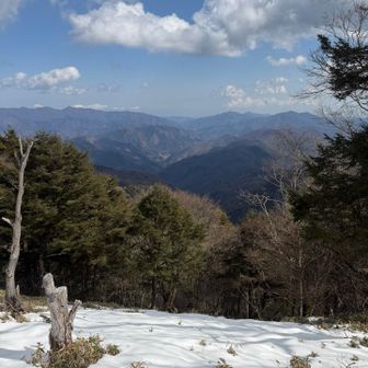 雪道も少しありながら進みました。トレースの跡は新しいのと古いのチラホラ