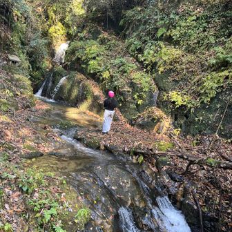 城光寺の滝へ寄ってみました〜
来るまでに転んでお尻が…😲
