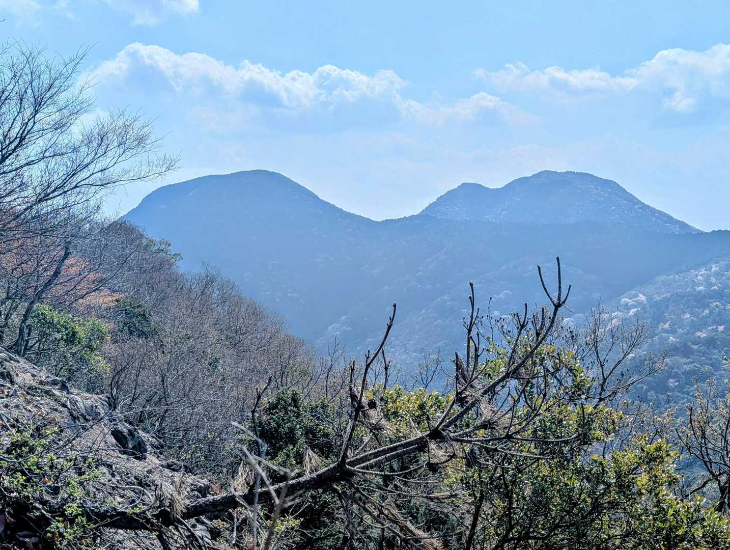 友形山と大蔵山のようです✨