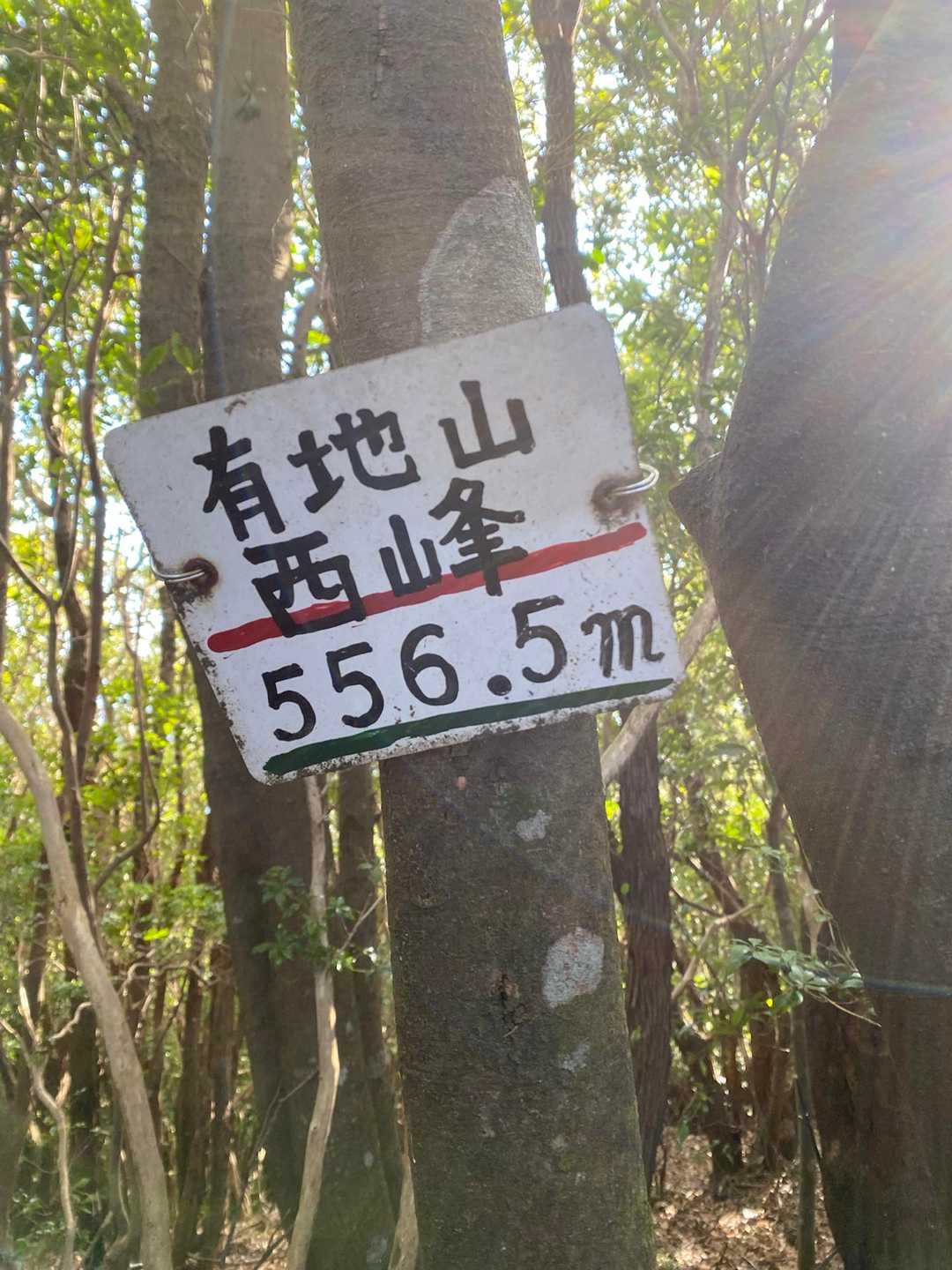 大河内山登山口-大河内山-有地山 周回コースの写真