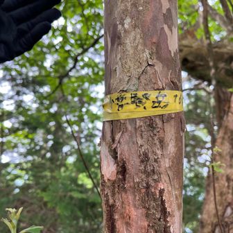 下山途中、降ってきました☔️
行きしな寄らなかった小普賢岳⛰️
優しい師匠がザックを見てて下さり…笑