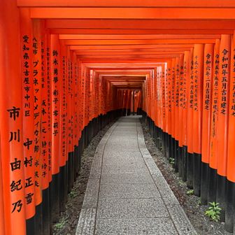 何気に初参拝の....