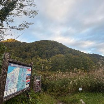 登山口　入ってすぐに携帯用トイレの捨てるボックスありました