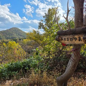 赤坂山ピーク
