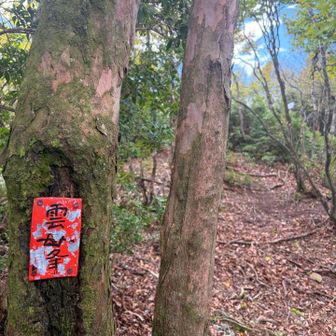 雲母峰山頂です。
