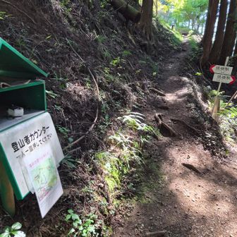 カウンターは7000台でしたが、いつから数えているのだろう?