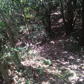 峠に到着。このまま直進して仁寿山に。
左右はいずれも下山するようです。