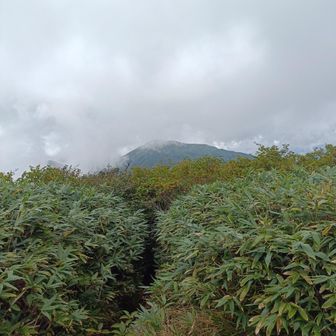 あらまっ、赤兎山山頂は真っ白け🤣